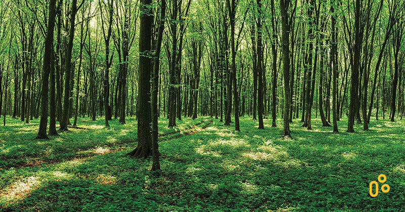 堤摩讯提供奖学金给环境工程学系的学生